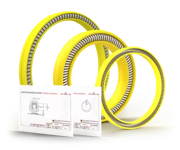 helical canted coil and v spring seal types